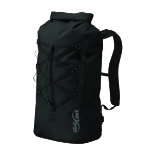 Bigfork Pack Seal Line