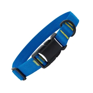 Colier pour chien de NRS - 2024