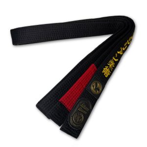 Ceinture de Jiu Jitsu Brésilien, Long Roll