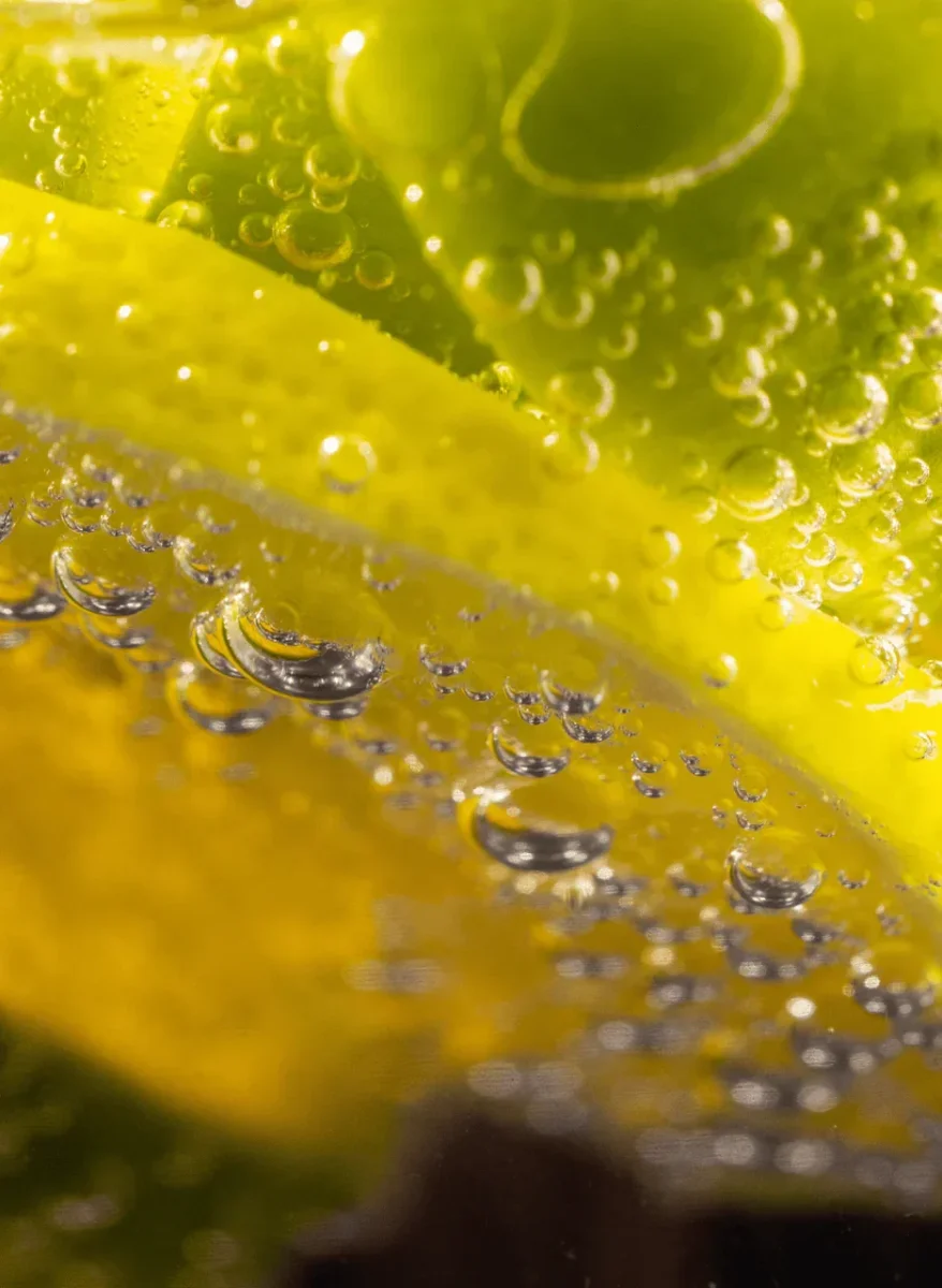 Pack Découverte – Image 2