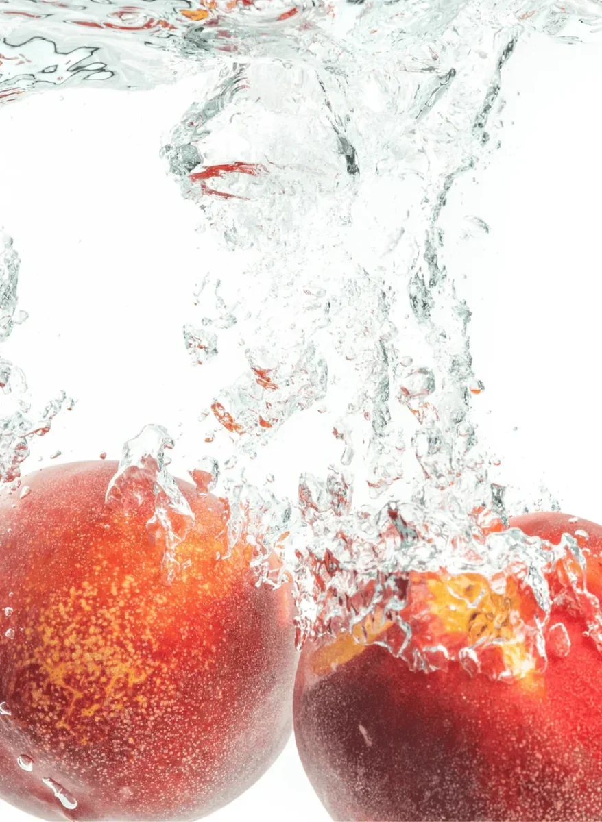 Pack Découverte – Image 4